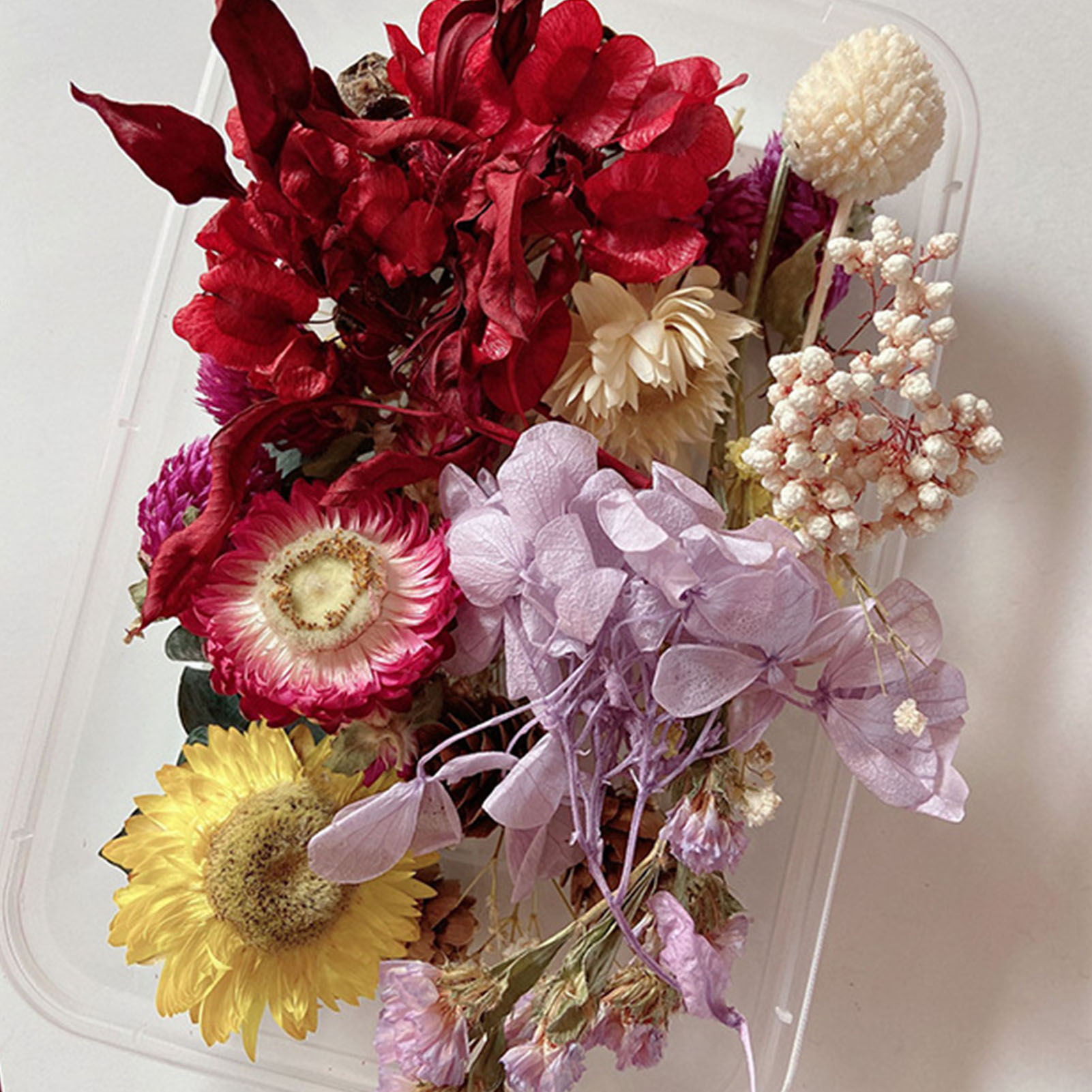 Kit de flores secas naturales, - Dried Herbs reseña y precio